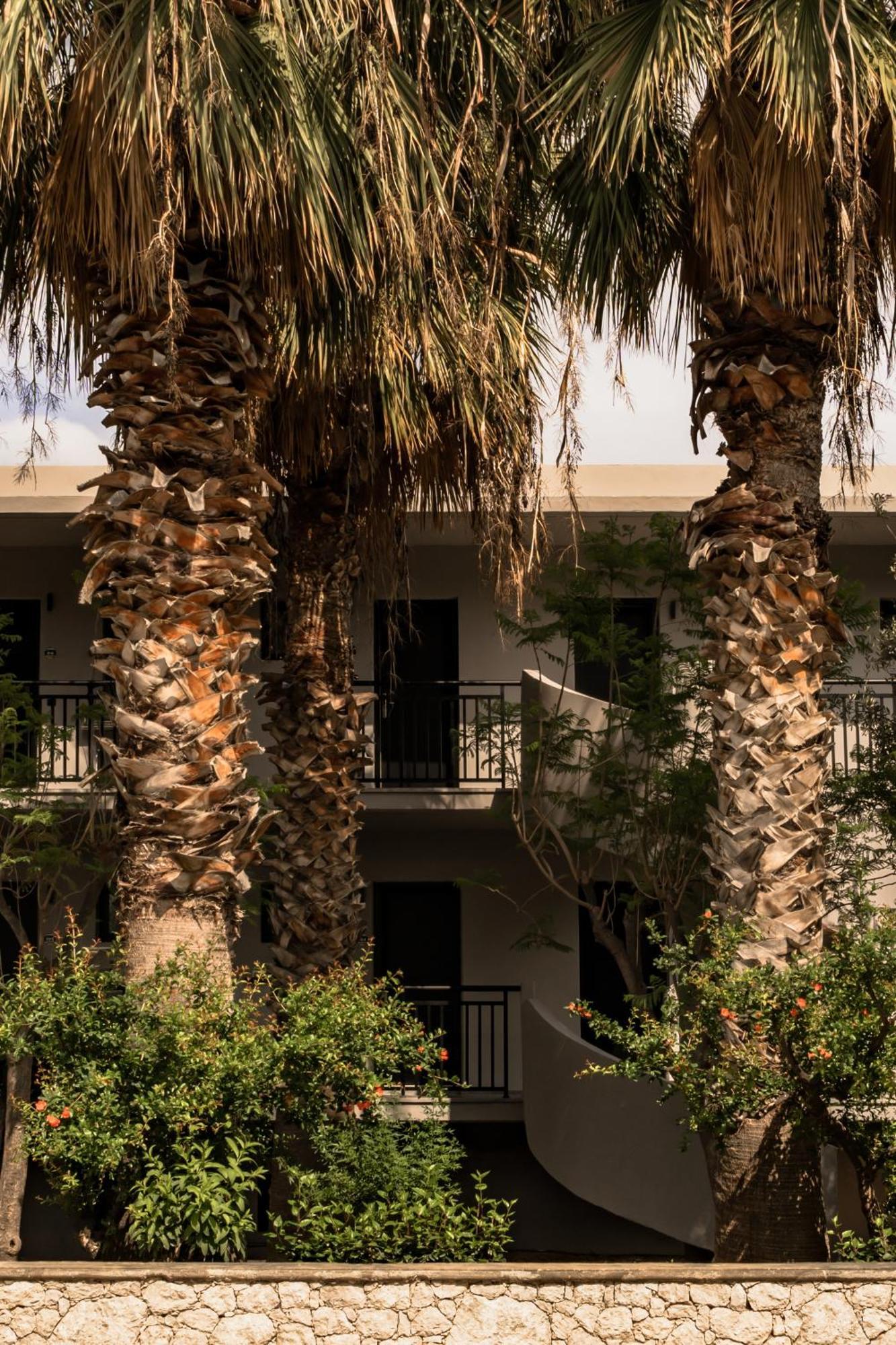Hotel Cook'S Club Kolymbia Rhodes -Adults Only Esterno foto